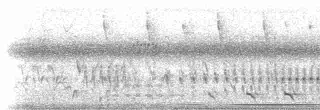 Surukua Trogonu (surrucura) - ML516881