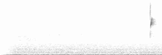 Bruant à couronne blanche - ML516909