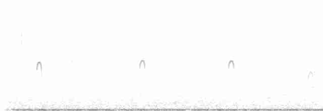 Американский бекасовидный веретенник - ML516919211