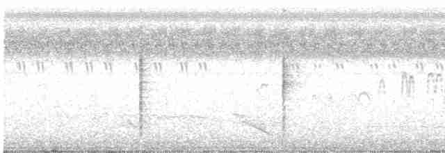 Blyth's Reed Warbler - ML516939761