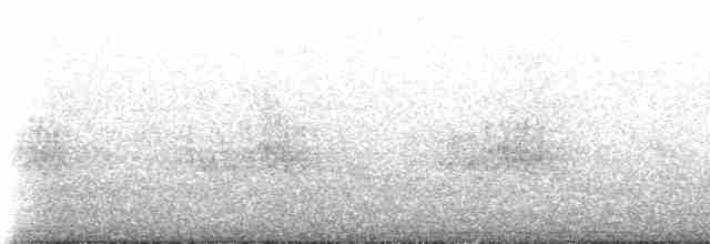 Sinsonte Colilargo - ML516944