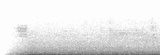 Белокрылая горлица - ML516946