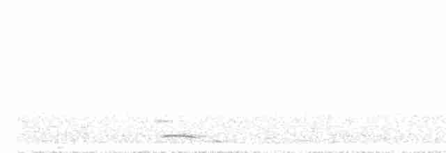 Сичик-горобець гірський - ML516971091