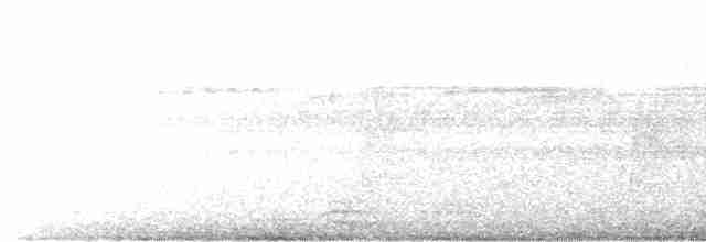 Листовик бразильський (підвид scansor) - ML517020691