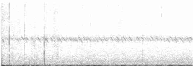 Wedge-tailed Shearwater - ML51705421