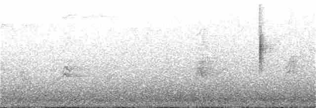 Миртовый певун (coronata) - ML51706211