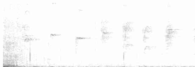 Белокрылая дриада - ML51707891