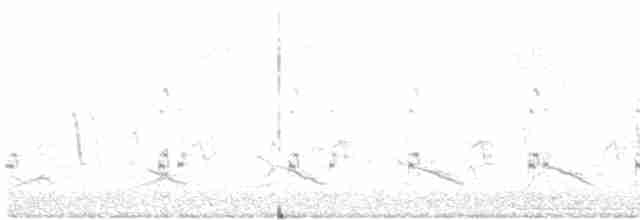 Braunhals-Säbelschnäbler - ML517102521