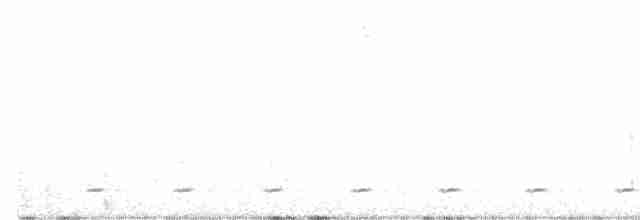 Chevêchette brune (groupe brasilianum) - ML517103751