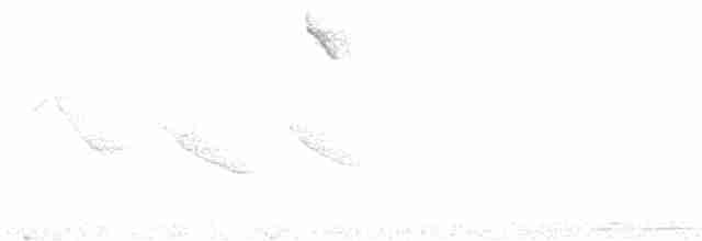 Turuncu Göğüslü Tangara - ML517111381