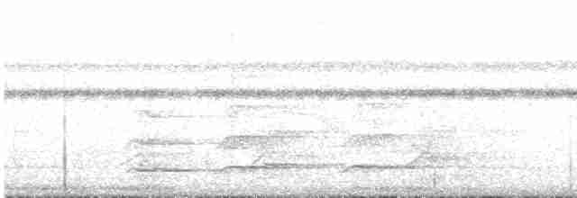 White-throated Toucan - ML517202101