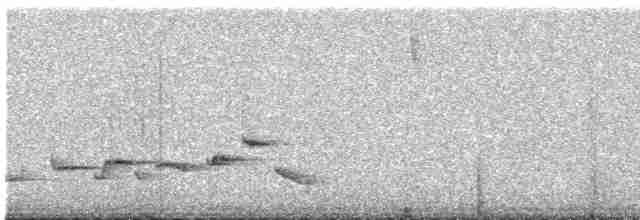 Troglodyte de Negret - ML517273561