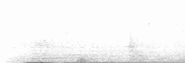 Атласная нектарница - ML517382721