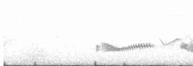 Long-tailed Thrush - ML517391791