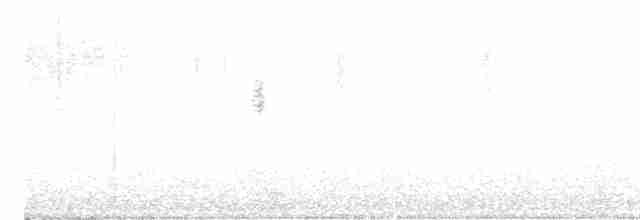 Mirlo Acuático Europeo - ML517430771