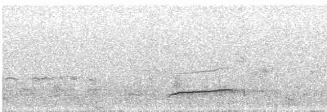 Eurasian Curlew - ML517461641