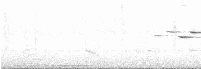 Flavescent Warbler - ML517464741