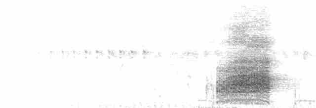marskrikse (berryorum) - ML51747771