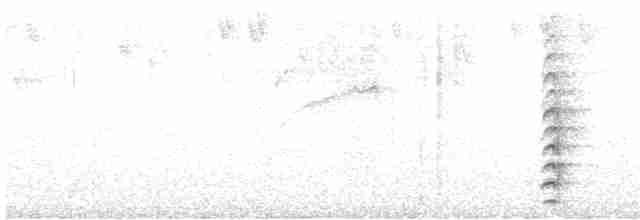 Gri Göğüslü Dağ Tukaneti - ML517496911