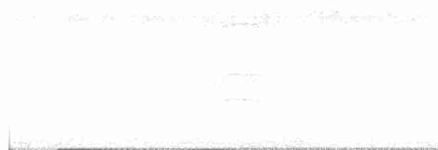 Büyük Kiskadi Tiranı - ML517534871