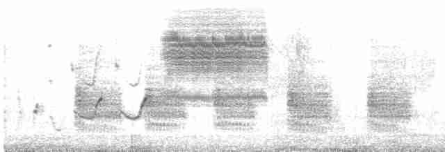 Grass Wren (Paramo) - ML517628811