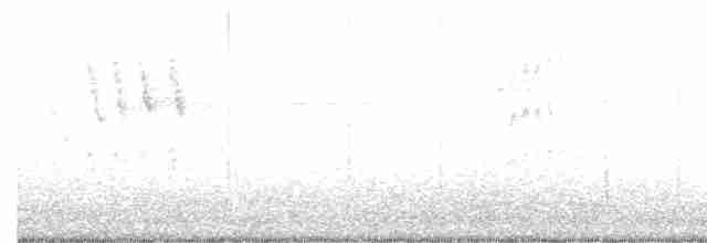 Swinhoe's White-eye - ML517652031