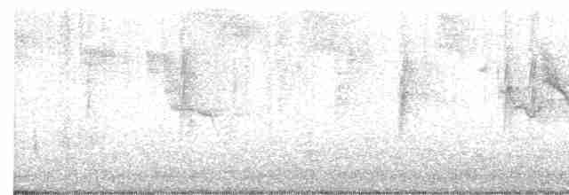 Swinhoe's White-eye - ML517659831