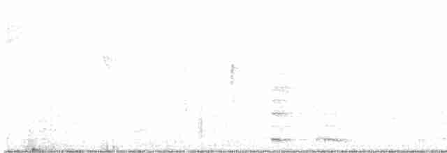 Common Gallinule - ML517686731
