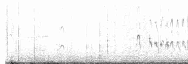 langnebbekkasinsnipe - ML517687301