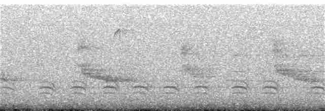 Каролинский крапивник - ML51769841