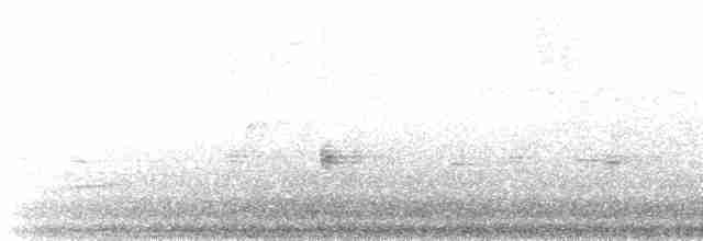 Гребенечуб андійський - ML517786351