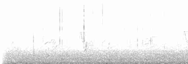 Brown-crested Flycatcher - ML517928871