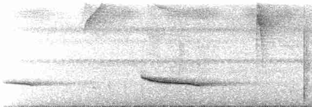 Slaty-capped Shrike-Vireo (Slaty-capped) - ML517929931
