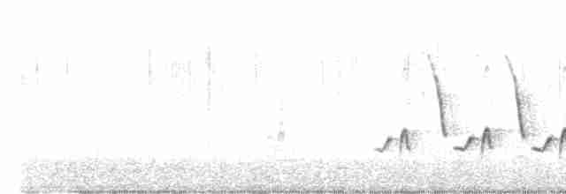 Karolina Çıtkuşu - ML517952811