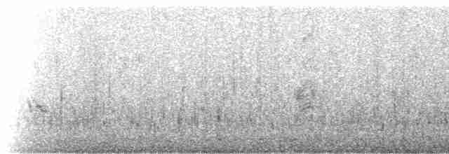 Gray-flanked Cinclodes - ML517967