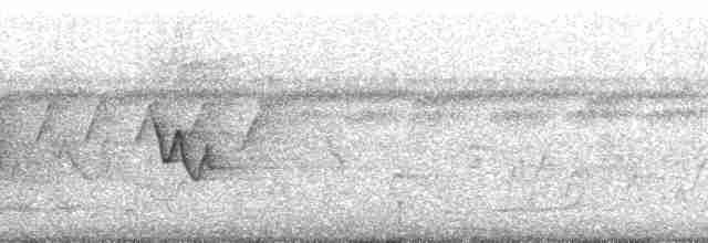 Pale-browed Tinamou - ML51797