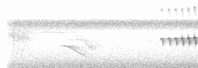 Dreibinden-Ameisenvogel - ML518015161