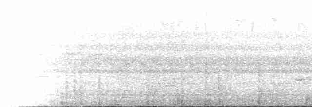 Insellaubsänger (ceramensis) - ML518102