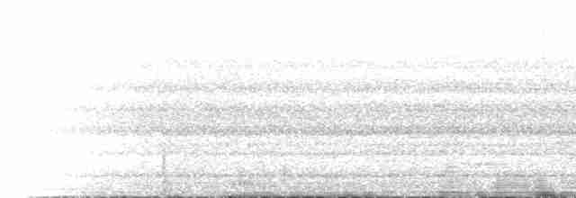 Insellaubsänger (ceramensis) - ML518113