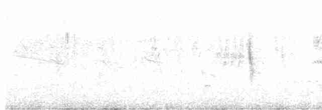 Щеврик короткодзьобий - ML518130631