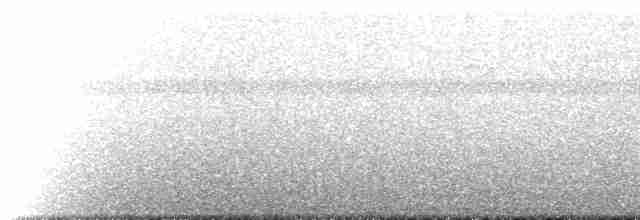 Dumanlı Megapod (forsteni/buruensis) - ML518146