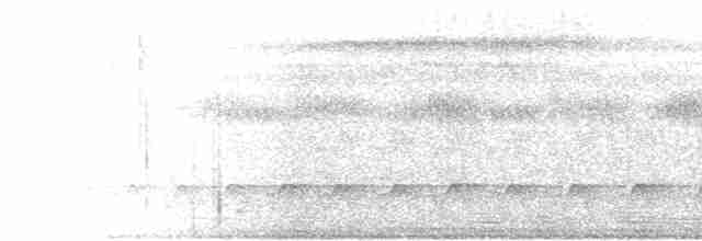 Лінивка колумбійська - ML518176241