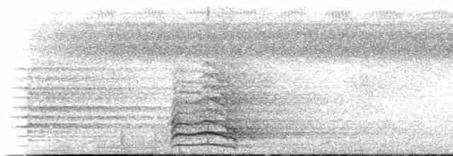 鮭紅鳳頭鸚鵡 - ML518186