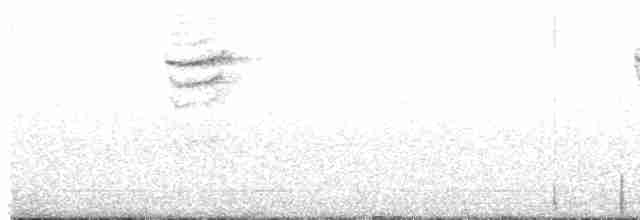 Chalk-browed Mockingbird - ML518208251