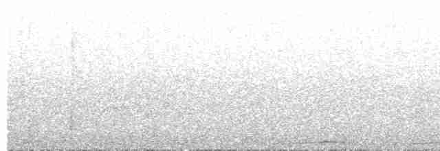 Сероглазая земляная горлица - ML518216411