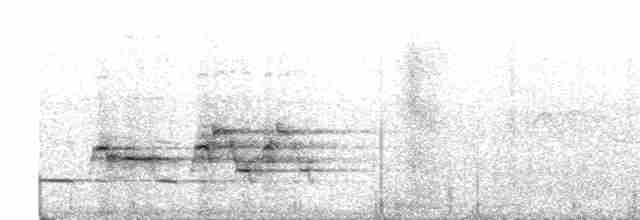 Дрізд-короткодзьоб плямистоволий - ML518233941