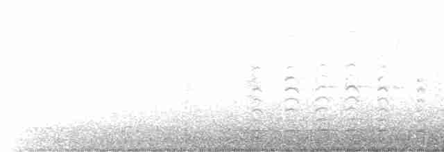 אווז לבן-מצח - ML518238681