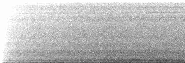 Russet-crowned Motmot - ML518321411