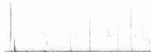 Cisne Cuellinegro - ML518340411