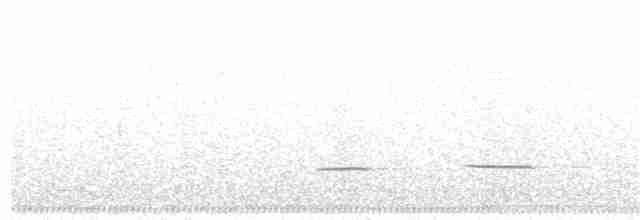 Striped Cuckoo - ML51834181
